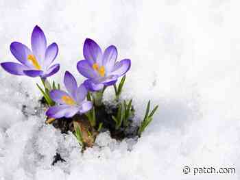 Rhode Island Breaks Temperature Record Ahead Of Winter Storm - Patch