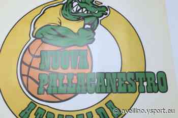 La Nuova Pallacanestro Atripalda, la giovane ed ambiziosa realtà del basket irpino - Avellino YSport