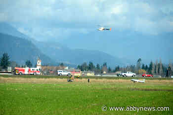 Engine trouble forces bush pilot to land small plane in Chilliwack dairy farmer's field – Abbotsford News - Abbotsford News