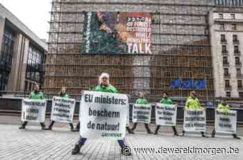 Bos ter grootte van stad Brussel vernietigd terwijl ministers Europese bossenwet bespreken - DeWereldMorgen.be