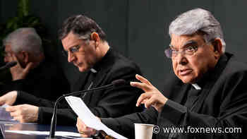Vatican defends hasty rollout of revolutionary laity reform
