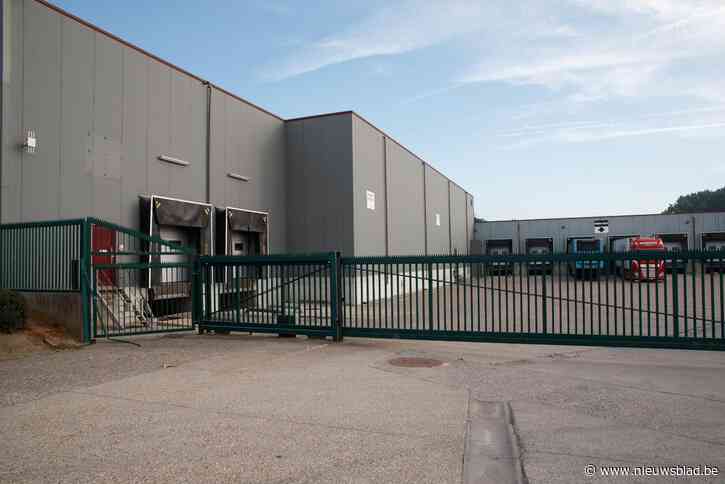 Animal Rights dient nieuwe klacht in tegen varkensslachthuis in Tielt: “De horror gaat gewoon door”