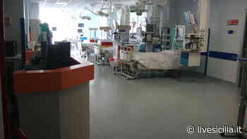 Catania, la battaglia della neomamma: staccata dall’Ecmo - Livesicilia.it