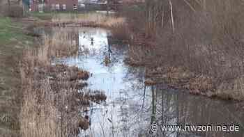 Ortsbürgerverein Apen fordert jährliche Reinigung der Regenrückhaltebecken - Nordwest-Zeitung