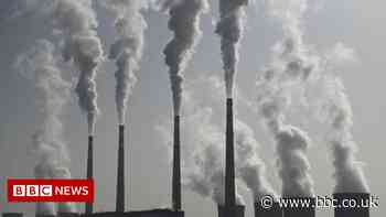 Climate change: 'Madness' to turn to fossil fuels because of Ukraine war