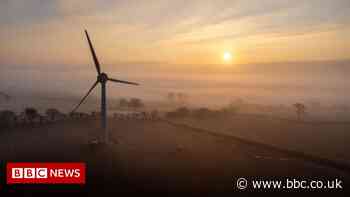 Climate change: IPCC scientists to examine carbon removal in key report