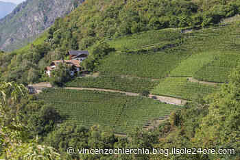 Grand Tour | Vini di montagna, Terlano sceglie Mandarin Oriental per Rarity 2009 - Il Sole 24 Ore
