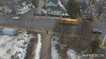 As weather warms, advocates call on City of Fredericton to finish 'dysfunctional' trail - CBC.ca