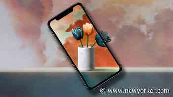 The iPhone Uses AI To Enhance Images. Is It Too Smart To Take Good Pictures?