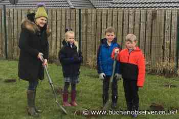 Tree planting for the Jubilee at St Fergus School - Buchan Observer
