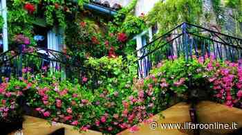 Minturno punta sull'ambiente e coinvolge i cittadini: nasce il concorso "Balconi in fiore" - Il Faro online