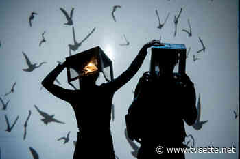 Solot, torna la stagione teatrale per bambini al Mulino Pacifico - TV Sette Benevento