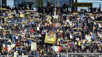 SONDAGGIO TF - Il migliore in campo di Frosinone-Benevento? Il voto dei tifosi - Tuttofrosinone