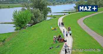 Wittenberge: Elbdeiche werden aus der Luft vermessen - Märkische Allgemeine Zeitung