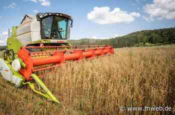 Peter Hauk zu den Folgen des Ukraine-Kriegs für die Landwirtschaft - Tauberbischofsheim - Nachrichten und Informationen - Fränkische Nachrichten