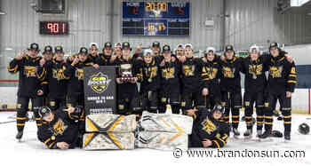 U15 squad caps dominant season with title - The Brandon Sun
