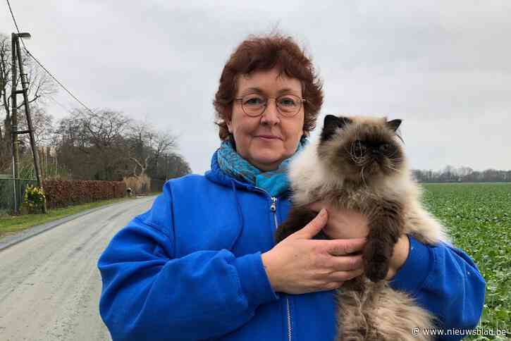 Nine Lives wil Oekraïense vluchtelingen met huisdieren makkelijker aan onderdak helpen: “Dieren zijn deel van gezin, die laat je niet in de steek”