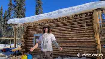 YouTuber who built backwoods Yukon cabin is an illegal squatter, gov't says