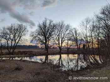 Pennsbury Art Returns To Local Arts Group - LevittownNow.com