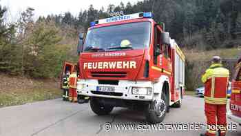 Tunnel-Feuermelder gedrückt - Wehren aus Schiltach, Schenkenzell und Wolfach am Kirchbergtunnel - Schwarzwälder Bote