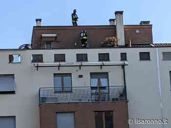 Saronno, incendio tetto in via Legnani: pompieri al lavoro - ilSaronno