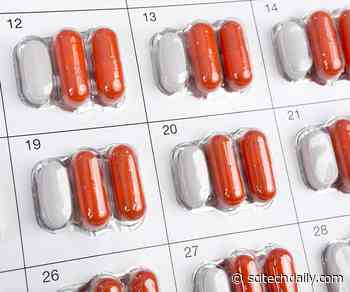 Cocoa Flavanol Supplement Shows Promise for Reducing Risk of Cardiovascular Disease