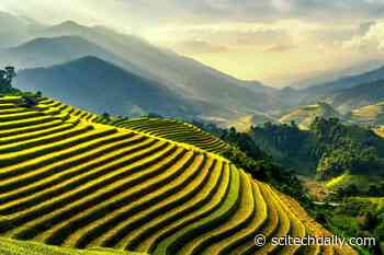 Relocating Farmland Could Increase Biodiversity and Turn Back Clock 20 Years on Carbon Emissions