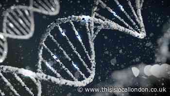 Are humans still evolving? - Schreoshi Khan, WCHS