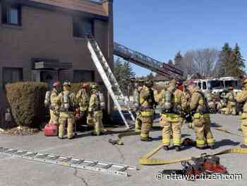 Two cats perish in townhouse fire on Old Richmond Road