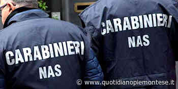 Moncalieri: chiuso ristopub per cibo malconservato e lavoratori in nero, multa da 30.000 al titolare - Quotidiano Piemontese