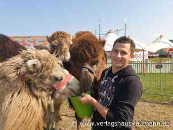 Steinen - Auch Kamele wirken in der Manege mit - www.verlagshaus-jaumann.de