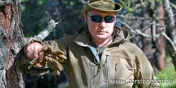 Die Selbstinszenierung des Wladimir Putin: Starker Mann – was nun? - DER STANDARD