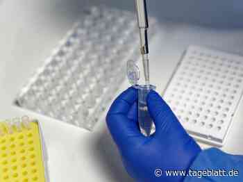 Inzidenz im Landkreis Stade erreicht den nächsten Höchstwert - Landkreis Stade - Tageblatt-online