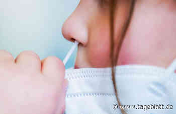 Inzidenzwert im Kreis Stade wieder gesunken - Landkreis Stade - Tageblatt-online