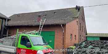 Auf dem Hof Billmann waren die Dachdecker gleich zweimal nach dem Sturm am Werk - Dattelner Morgenpost
