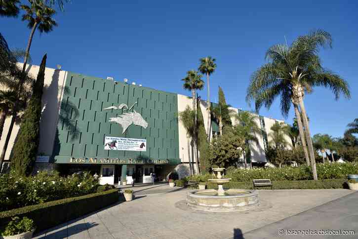 4th Horse Dies This Year At Los Alamitos Race Course
