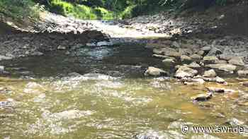 ARD-Aktion #unserWasser: Gewässer im Raum Ulm zu trocken - SWR Aktuell