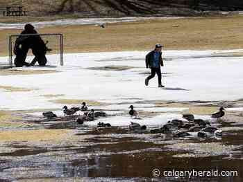 COVID-19 Update: Ex-NDP MLA says he used premier's info to hack vaccine passport system | No date or target set for federal restrictions to end - Calgary Herald