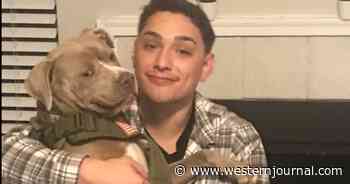 Video: Navy Medic Loses Service Dog During Car Crash, Reunited Months Later