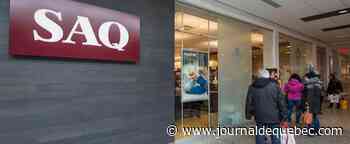 Des vaches à lait lucratives: une récolte des sociétés d’État qui se classe dans le top 3 de l’histoire