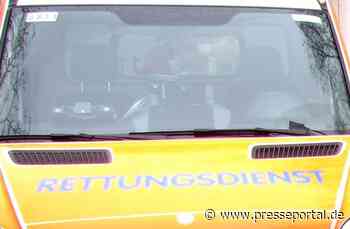 POL-ME: Hund verursacht Verkehrsunfall (Langenfeld) -2203129-