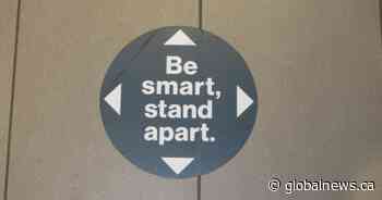 COVID-19: Gradual increase in cases likely for Hamilton, according to public health early spring forecast - Global News