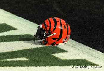 8 former Cincinnati Bengals who still need a team for 2022 - Stripe Hype