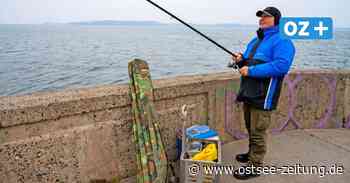 Heringsangler in Stralsund: „Mir geht es um Erholung“ - Ostsee Zeitung