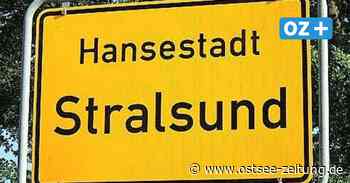 OZ-Kolumne aus Stralsund: Von Stralhunden und Stralsündern - Ostsee Zeitung