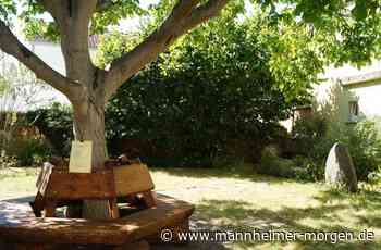 Der weite Weg zur grünen Stadt - Mannheimer Morgen