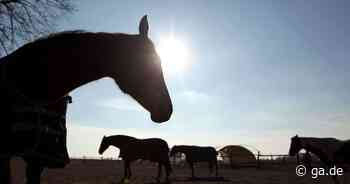 Prügelei auf Reiterhof in Neunkirchen-Seelscheid endet vor Gericht - General-Anzeiger Bonn
