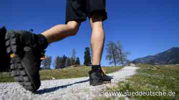 Mammutmarsch: „Die meisten machen nach 45 Kilometern schlapp“ - Starnberg - Süddeutsche Zeitung - SZ.de