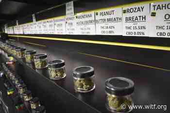 Pennsylvania Medical marijuana director says retail prices are not decreasing with wholesale prices - witf.org