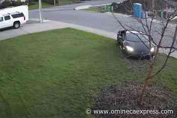 VIDEO: Speedy sports car drives into Abbotsford yard; police investigating – Vanderhoof Omineca Express - Omineca Express